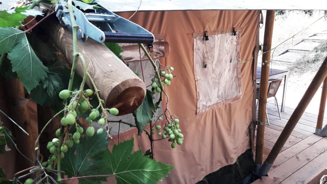 Campo Agave Luxury Tents Саялонга Экстерьер фото