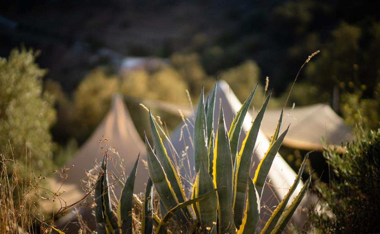 Campo Agave Luxury Tents Саялонга Экстерьер фото